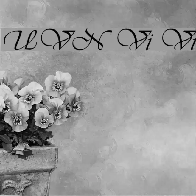 UVN Vi Vi Font examples