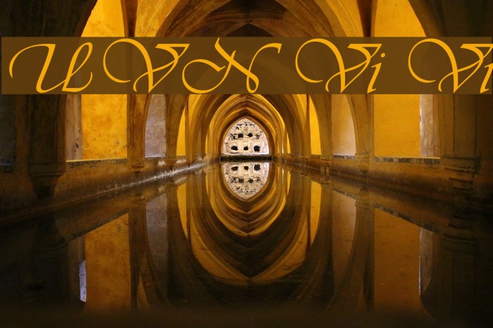 UVN Vi Vi Font examples