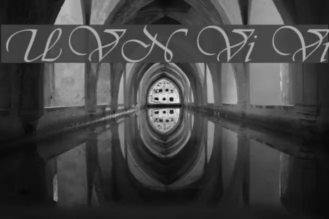 UVN Vi Vi Font examples