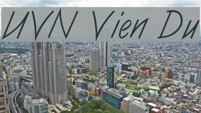 UVN Vien Du Example 3