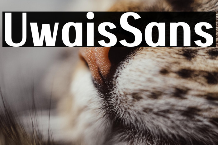 Uwais Sans Example 1