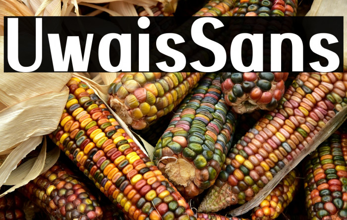 Uwais Sans Example 2