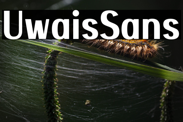 Uwais Sans Example 3