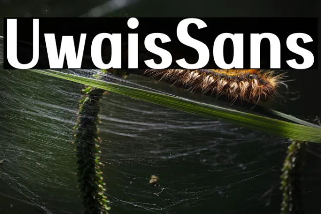 Uwais Sans Example 3