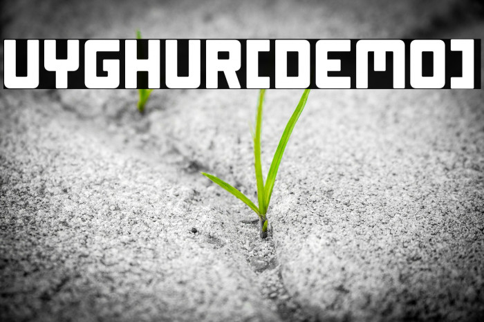 Uyghur[Demo] Example 1