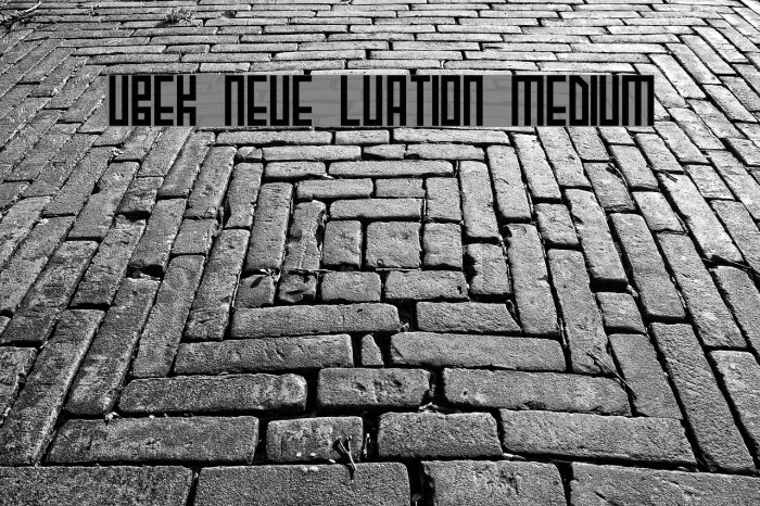 Uzbek Neue Luxation Medium Font examples