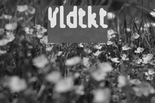 V-ldt-kt Fuentes examples