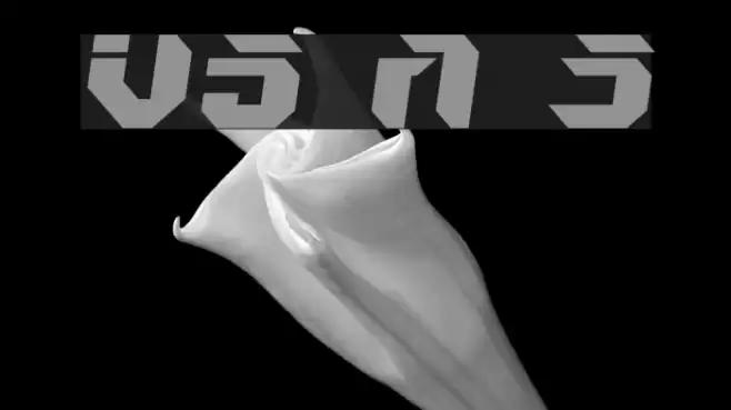 V5 Ampon Slanted خط examples