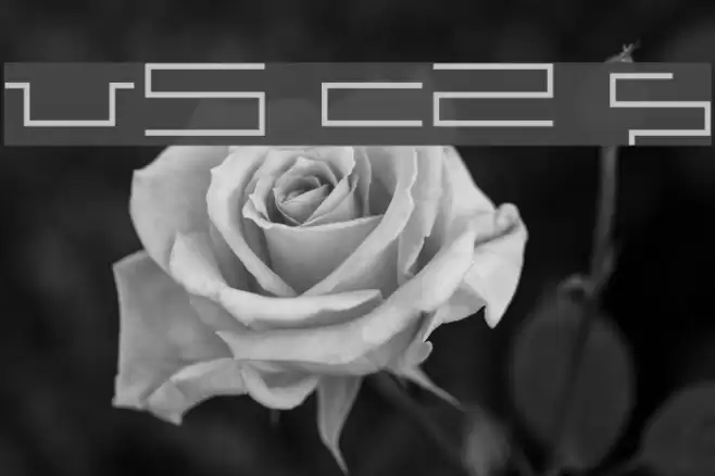 V5 Cuadra2 Slim Font examples