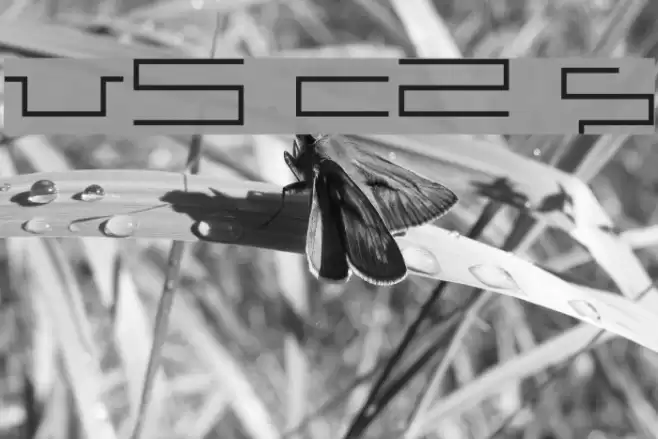 V5 Cuadra2 Slim Font examples