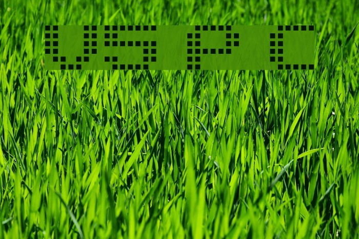 V5 Prophit Cell Schriftart examples