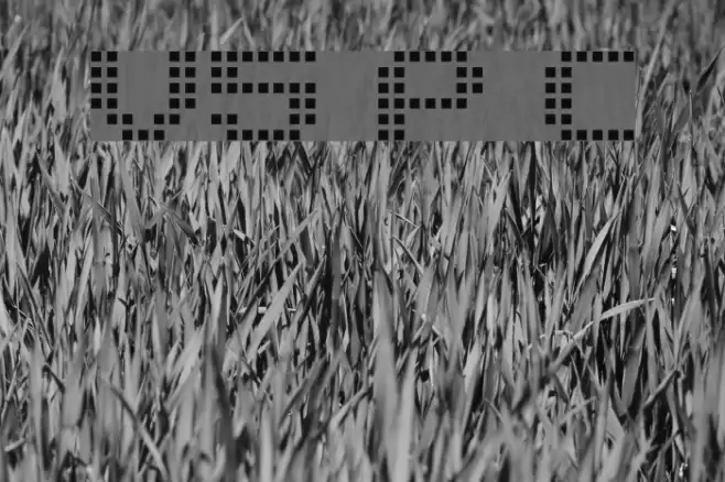 V5 Prophit Cell Schriftart examples