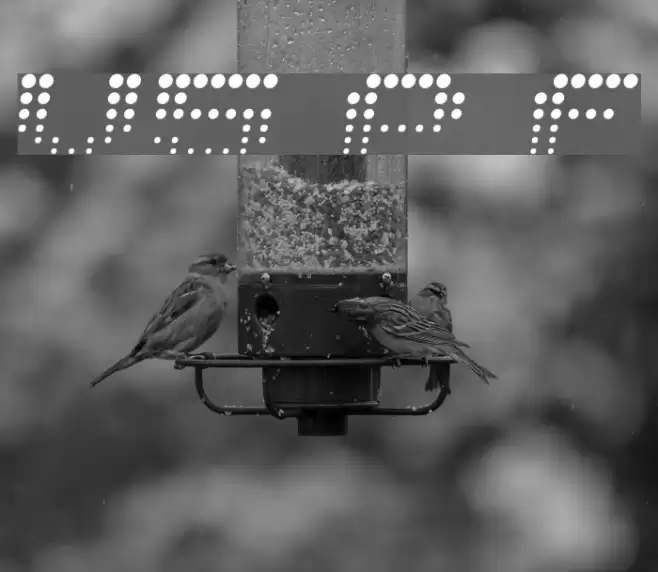 V5 Prophit Fading Font examples