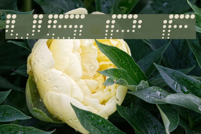 V5 Prophit Fading Шрифта examples