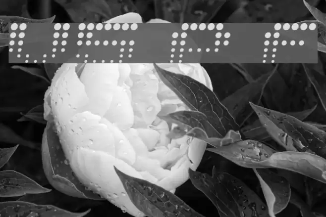 V5 Prophit Fading Font examples