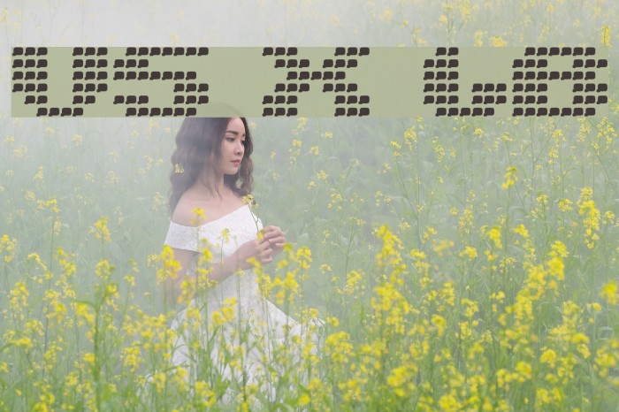 V5 Xtender LoinBack Font examples