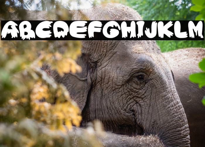 Vómito Cartoon Example 3