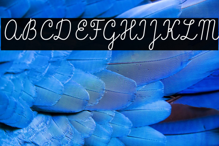 Vítkova písanka Example 2