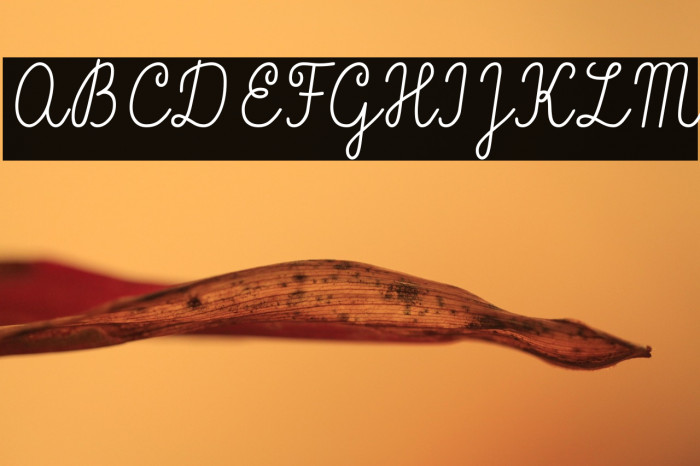 Vítkova písanka Example 3