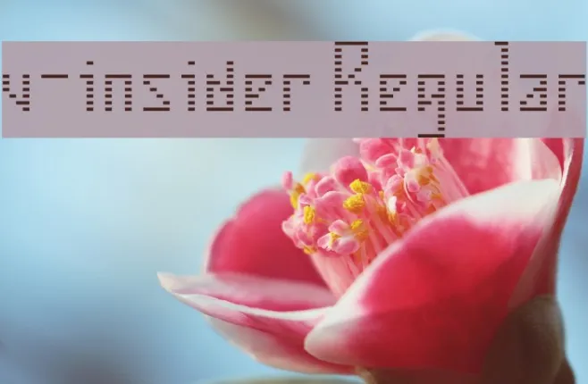 v-insider Regular Example 1