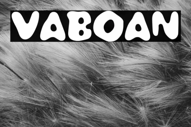 VABOAN फ़ॉन्ट examples