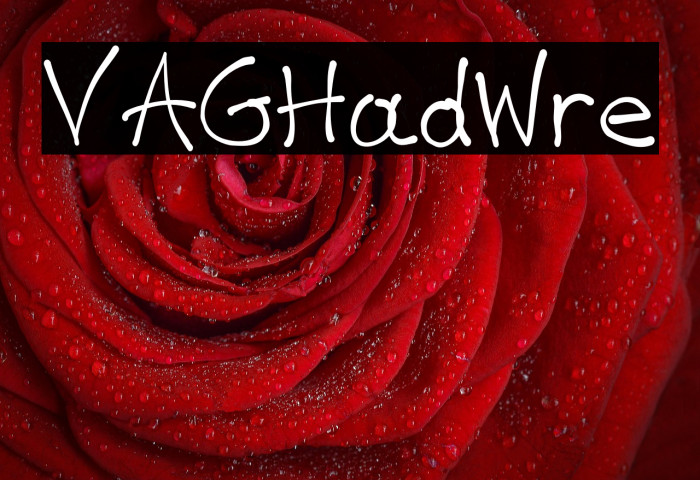 VAG-HandWritten Example 1