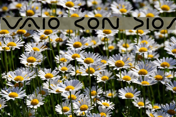 VAIO CON DIOS Шрифта examples