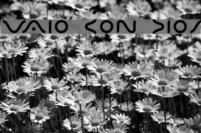 VAIO CON DIOS Font examples