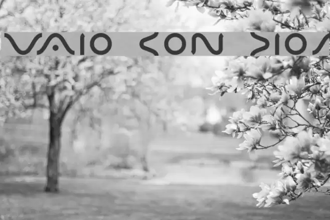 VAIO CON DIOS Font examples