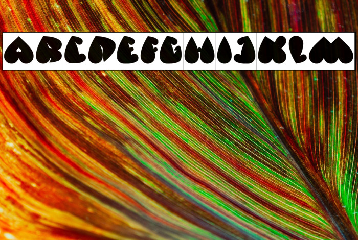 VALENTINE DAYS-Inverse Example 1