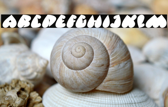 VALENTINE DAYS Italic Example 3