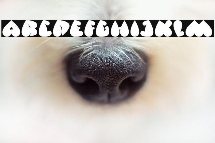 VALENTINE DAYS Example 3