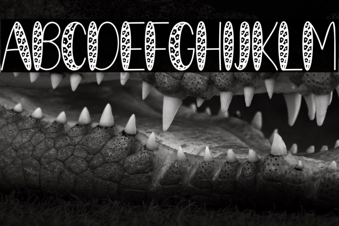 VALENTINE LOVE Example 3