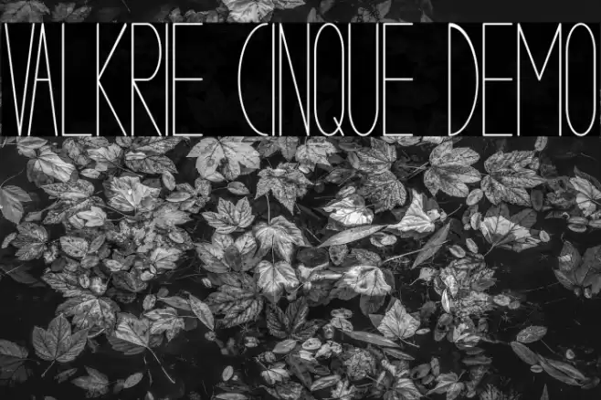 VALKRIE CINQUE demo Font examples