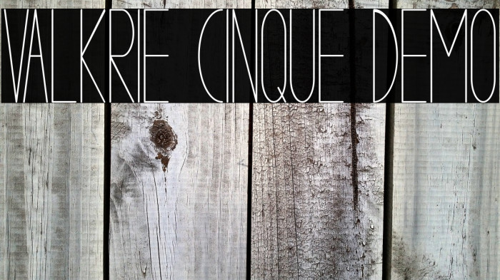 VALKRIE CINQUE demo Example 3