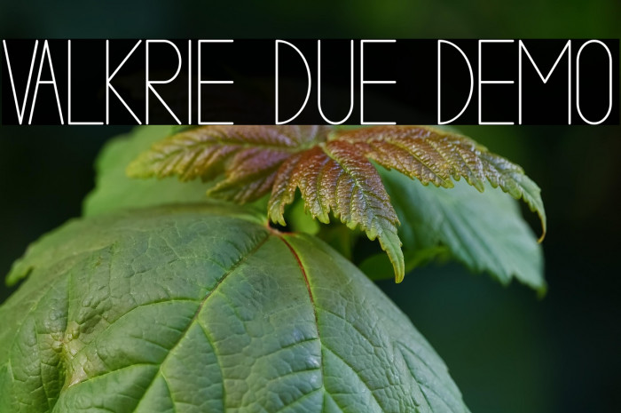 VALKRIE DUE demo Example 1