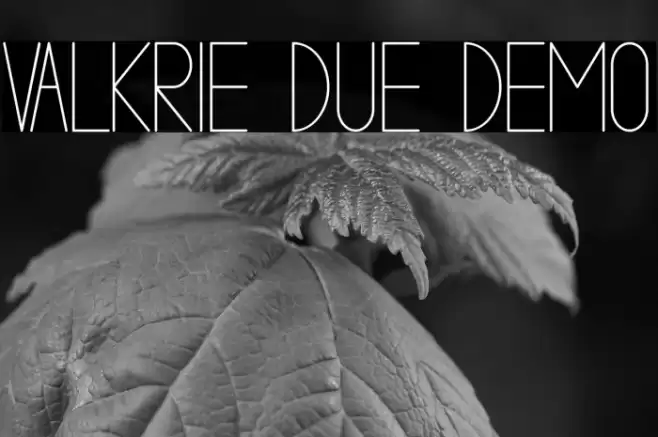 VALKRIE DUE demo Font examples