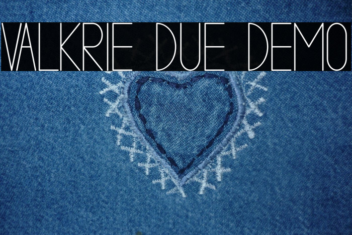 VALKRIE DUE demo Example 2