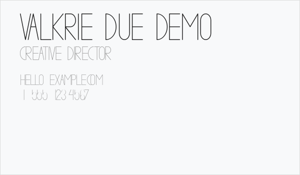 VALKRIE DUE demo Business Card