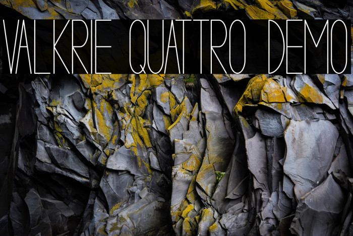 VALKRIE QUATTRO demo Example 2