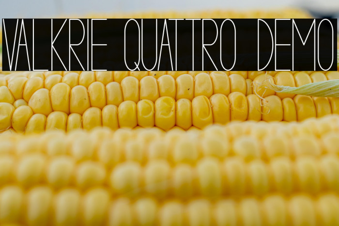 VALKRIE QUATTRO demo Example 3