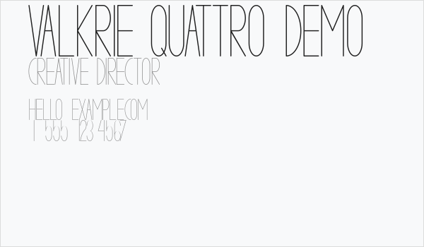 VALKRIE QUATTRO demo Business Card