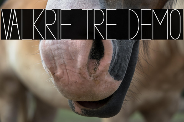 VALKRIE TRE demo Example 2