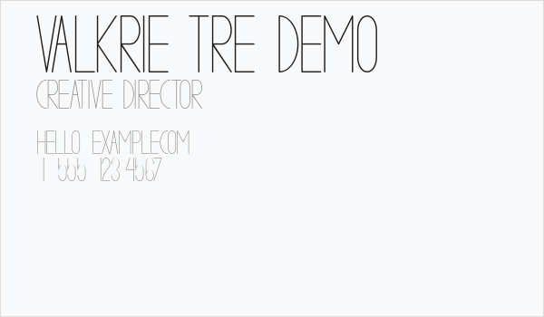 VALKRIE TRE demo Business Card