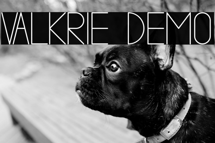 VALKRIE demo Example 3