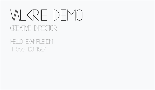 VALKRIE demo Business Card