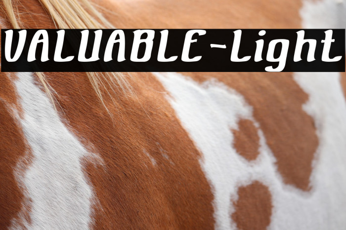 VALUABLE-Light Example 1