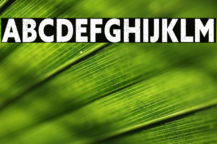 VANDAL Free Font Example 2