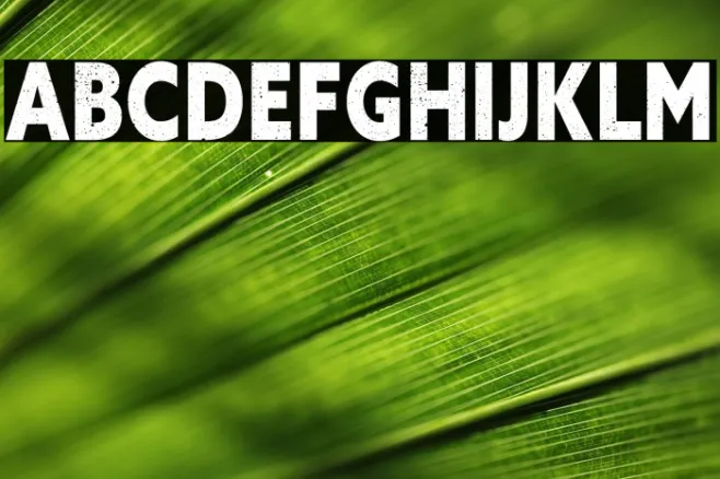 VANDAL Free Font Example 2