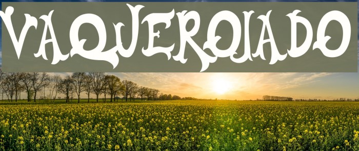 VAQUEROJADO Example 1